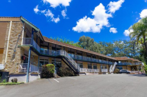Gosford Inn Motel, Gosford